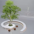 Brown Outdoor Chairs On White Curved Platform Around Green Tree With Gray Ground