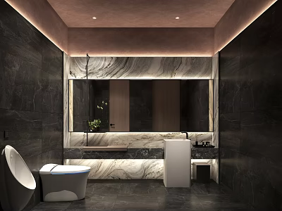 Modern Luxury Public Toilet With Dark Marble Interior Smart Sanitary Ware And Soft Ambient Lighting 3d model