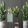 Large Leafy Potted Plants with Various Pots on Light Green Cabinet and Gray Striped Wall