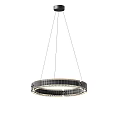 Modern Circular Ring Shaped Chandelier With Metallic Frame And LED Lighting 3d model