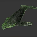 Realistic Gray Whale With Detailed Body Structure Fins And Tail In Water