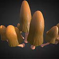 Detailed 3D Models of Various Mushroom Vegetables with Different Shapes and Sizes