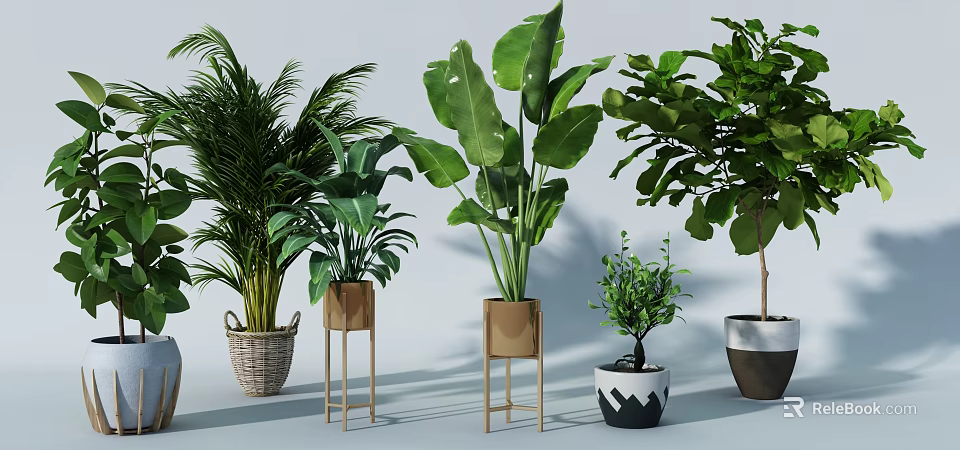 Various Indoor Potted Plants With Woven Baskets Wooden Stands And Large Leaf Greenery 3d model 
