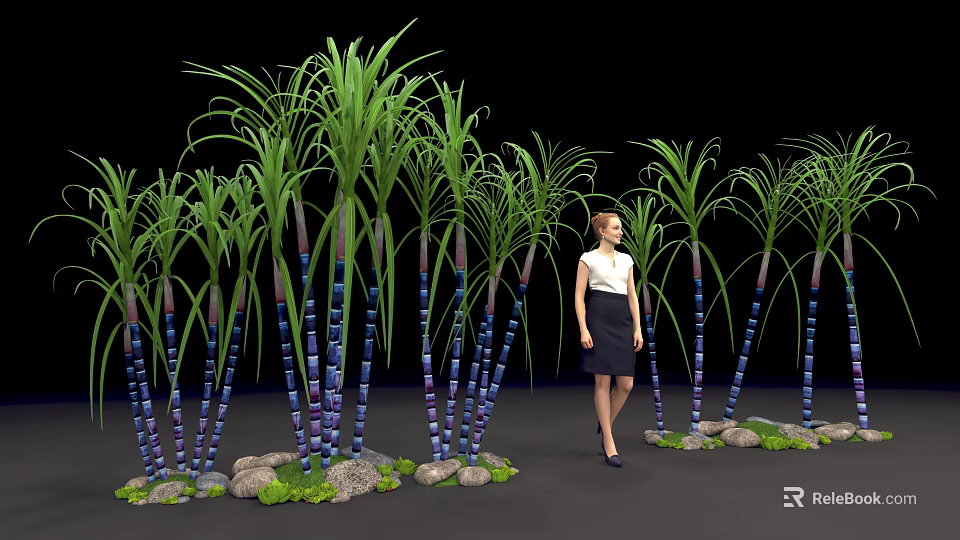 Tall Leafy Green Plants With Blue Purple Stems Surrounded By Stones Greenery And Woman Standing 3d model 