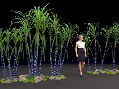 Tall Leafy Green Plants With Blue Purple Stems Surrounded By Stones Greenery And Woman Standing 3d model