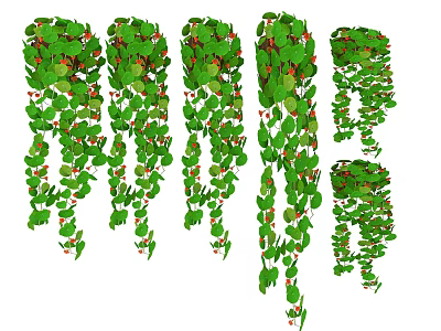 Lush Green Hanging Basket Plants With Trailing Vines And Red Berries For Home Decor 3d model