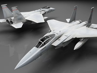 Two Modern Military Fighter Jets Showcasing Sleek Design And Cockpit Features 3d model