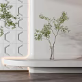Bonsai Potted Plants In White Pot And Transparent Vase For Minimalist Interior