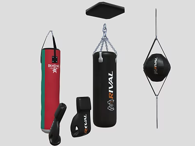 Essential Sports Equipment Featuring Rival Punching Bags Speed Bag And Boxing Gloves 3d model
