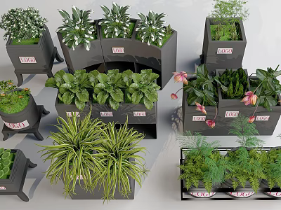 Ornamental Garden Decor Pieces With Square Curved Planters And Various Green Plants 3d model