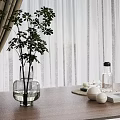 Green Plant in Glass Vase on Wooden Table with Curtain Indoor and White Balls Glassware