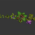 Various Colorful Plants Featuring Purple Flowers Green Leaves And Unique Shapes