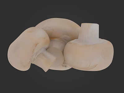 Three Fresh White Mushrooms As Healthy Vegetable In Close Up View 3d model