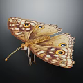 Brown Yellow Butterfly With Eye Like Patterns On Spread Detailed Wings Against Dark Background