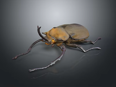 Realistic Horned Beetle With Brown Exoskeleton And Long Antennae On Dark Background 3d model