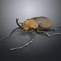 Realistic Horned Beetle With Brown Exoskeleton And Long Antennae On Dark Background