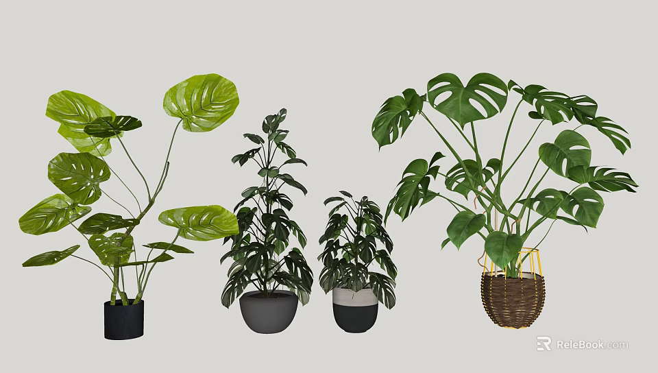 Indoor Decorative Potted Plants Including Monstera And Houseplants With Black Pots And Woven Basket Planters 3d model 