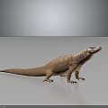 Realistic Komodo Dragon Standing On Reflective Surface Gray Background Detailed Skin Texture 3D Render 3d model