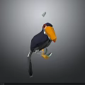 Low Poly Style Toucan with Vibrant Orange Yellow Beak and Dark Body on Gray Background