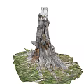 Rugged Ancient Tree With Exposed Roots And Tree Hollow In Grass