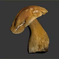 Fresh Orange Mushroom With Smooth Cap And Sturdy Stem On Black Surface 3d model