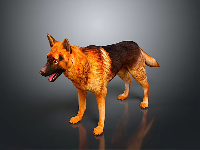 German Shepherd Dog Standing With Brown And Black Coat On Grey Background 3d model
