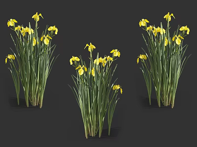 Vibrant Yellow Flowers With Green Stems And Leaves For Home Decoration 3d model