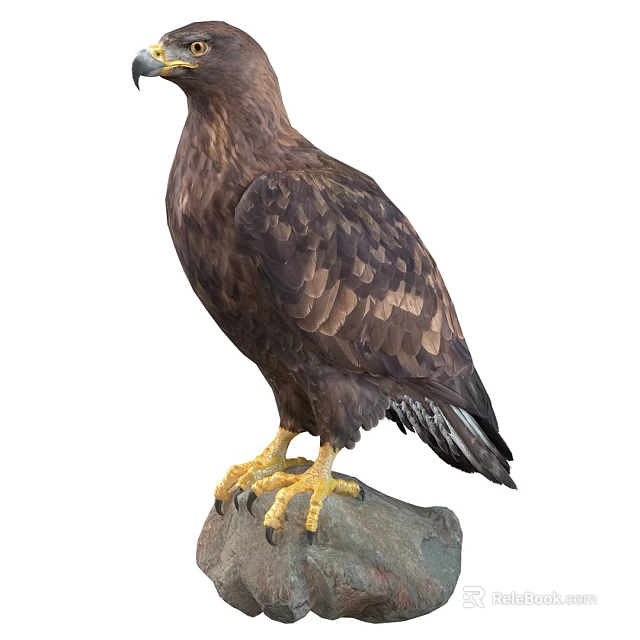 Majestic Eagle Perched On Rock With Brown Feathers And Sharp Yellow Claws 3d model 