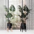 Modern potted plant flowerpot plant flowerpot green plant turtle leaf curtain 3d model