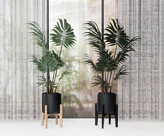 Modern potted plant flowerpot plant flowerpot green plant turtle leaf curtain 3d model