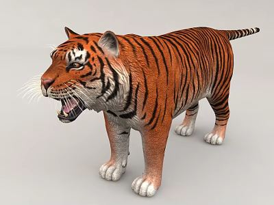 Realistic Tiger 3D Model With Striped Body 3d model