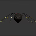 Detailed Black Spider With Red Marked Body And Yellow Striped Legs