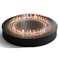 Modern Circular Fireplace Design With Open Flames And Black Base Interior 3d model