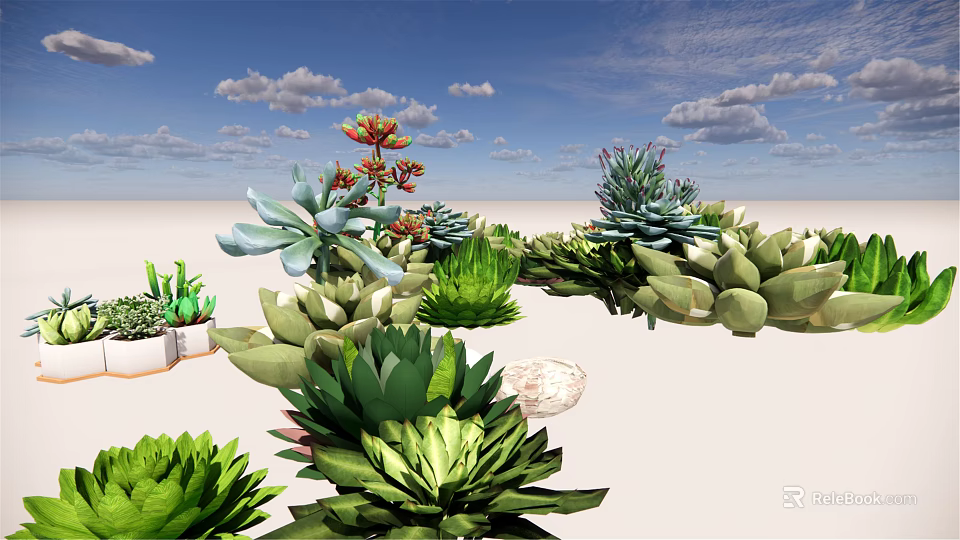 Various Types of Potted Succulent Plants With Green Leaves and Colorful Blooms 3d model 