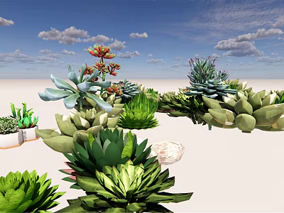 Various Types of Potted Succulent Plants With Green Leaves and Colorful Blooms 3d model