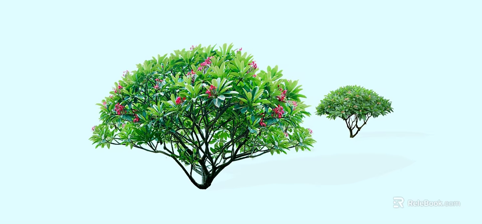 Lush Green Ornamental Arbor With Dense Foliage And Pink Blossoms In Garden 3d model 