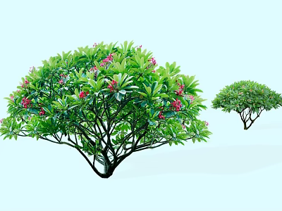 Lush Green Ornamental Arbor With Dense Foliage And Pink Blossoms In Garden 3d model