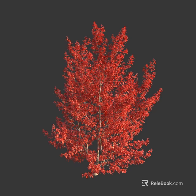 Tall Tree with Vibrant Red Autumn Leaves and Lush Foliage Structure 3d model 