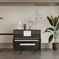 Elegant Room Interior Featuring Piano Instruments And Art Supplies With Floor Lamp And Plants