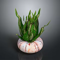 Green Lizard Resting On Marble Pot With Fresh Green Leaves