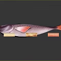 Purple And Pink Fish With Three Colorful Sashimi Slices On Dark Background