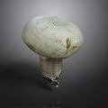 Fresh White Mushroom with Smooth Round Cap and Firm Stalk on Dark Surface