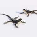 Two Dark Colored Reptile Lizards On White Background With Natural Posture 3d model
