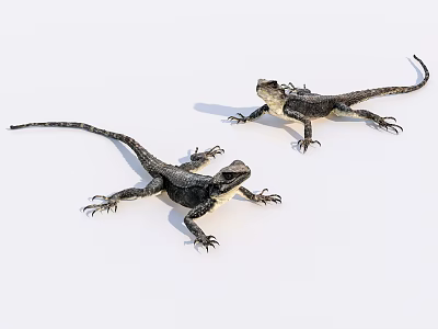 Modern lizard reptile 3d model Modern lizard reptile 3d model