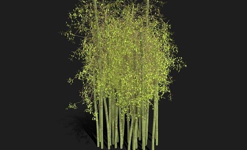 bamboo cartoon bamboo green bamboo cartoon plant bamboo leaves 3d model