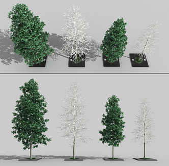 The Modern Tree 3d model