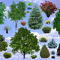Various Types of Arbor Trees with Green Red Foliage and Blue Sky Background