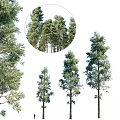 Decorative Ornament Set Featuring Various Pine Tree Models Different Sizes Natural Appearance
