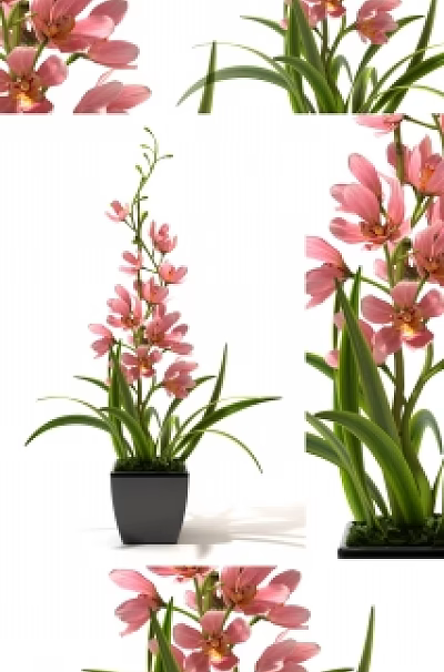 Bonsai Potted Plant With Pink Flowers And Green Leaves In Black Square Pot 3d model
