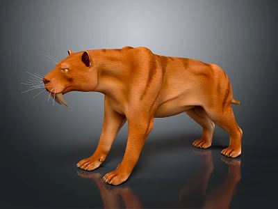 3D Sabertooth Tiger Model Standing With Long Fangs Brown Stripes And Gray Background 3d model